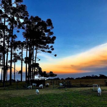 Foto Cervejaria Usinamalte