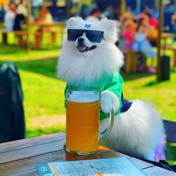 Foto Cervejaria Usinamalte