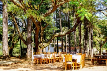 Foto Tempero Mineiro