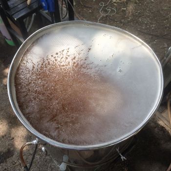 Foto Beagá Brew Shop