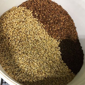 Foto Central do Cervejeiro Brew Shop