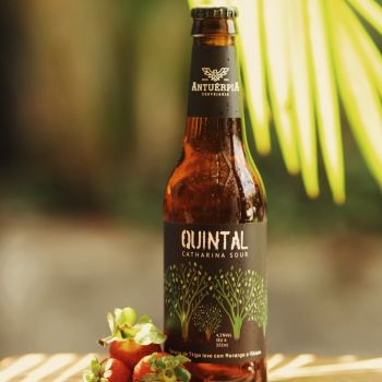 Foto Antuérpia Cervejaria 