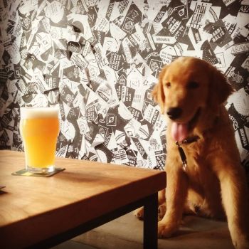 Foto Daoravida Taproom