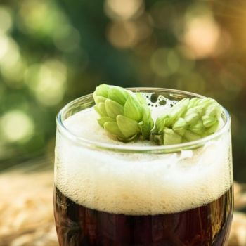 Foto Klaro Chopp - Araras