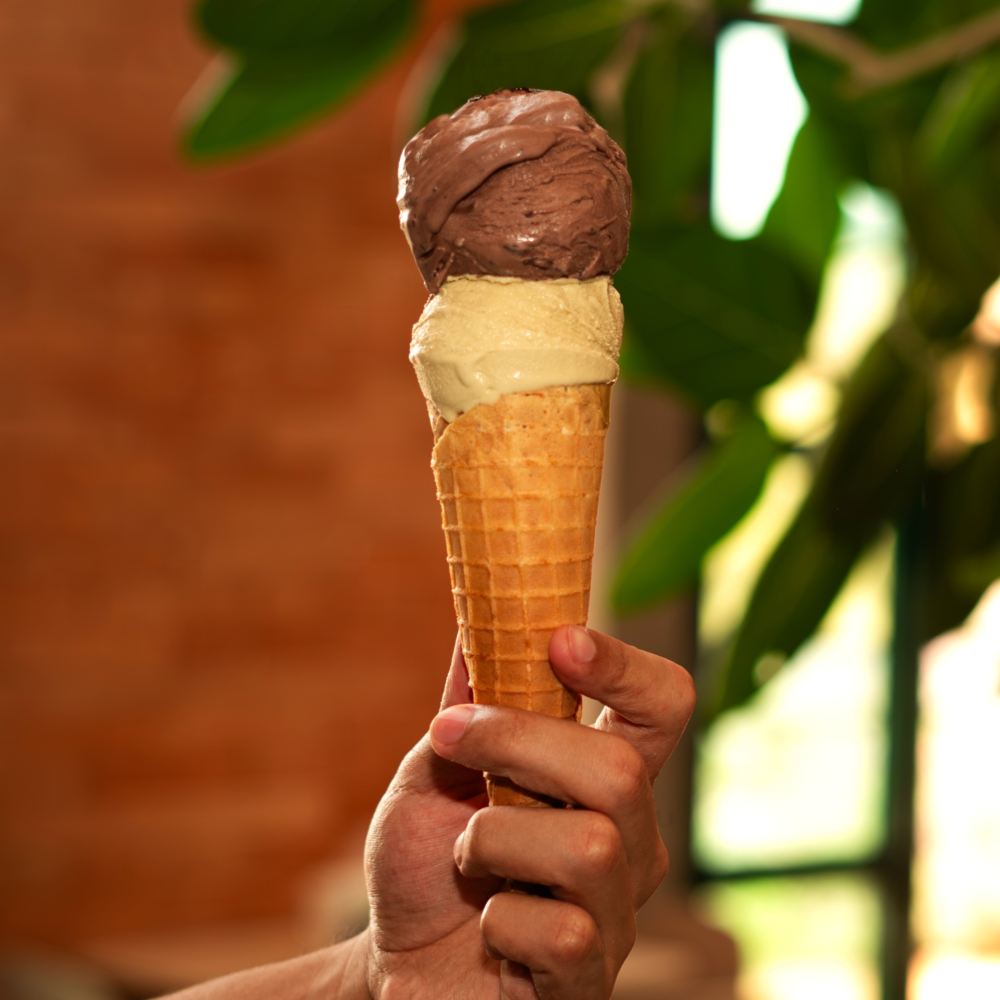 Foto Gelato Borelli Poços