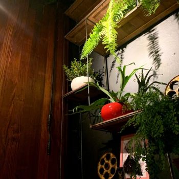 Foto Coyote Tap House