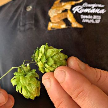 Foto Let It Brew - Brew Shop