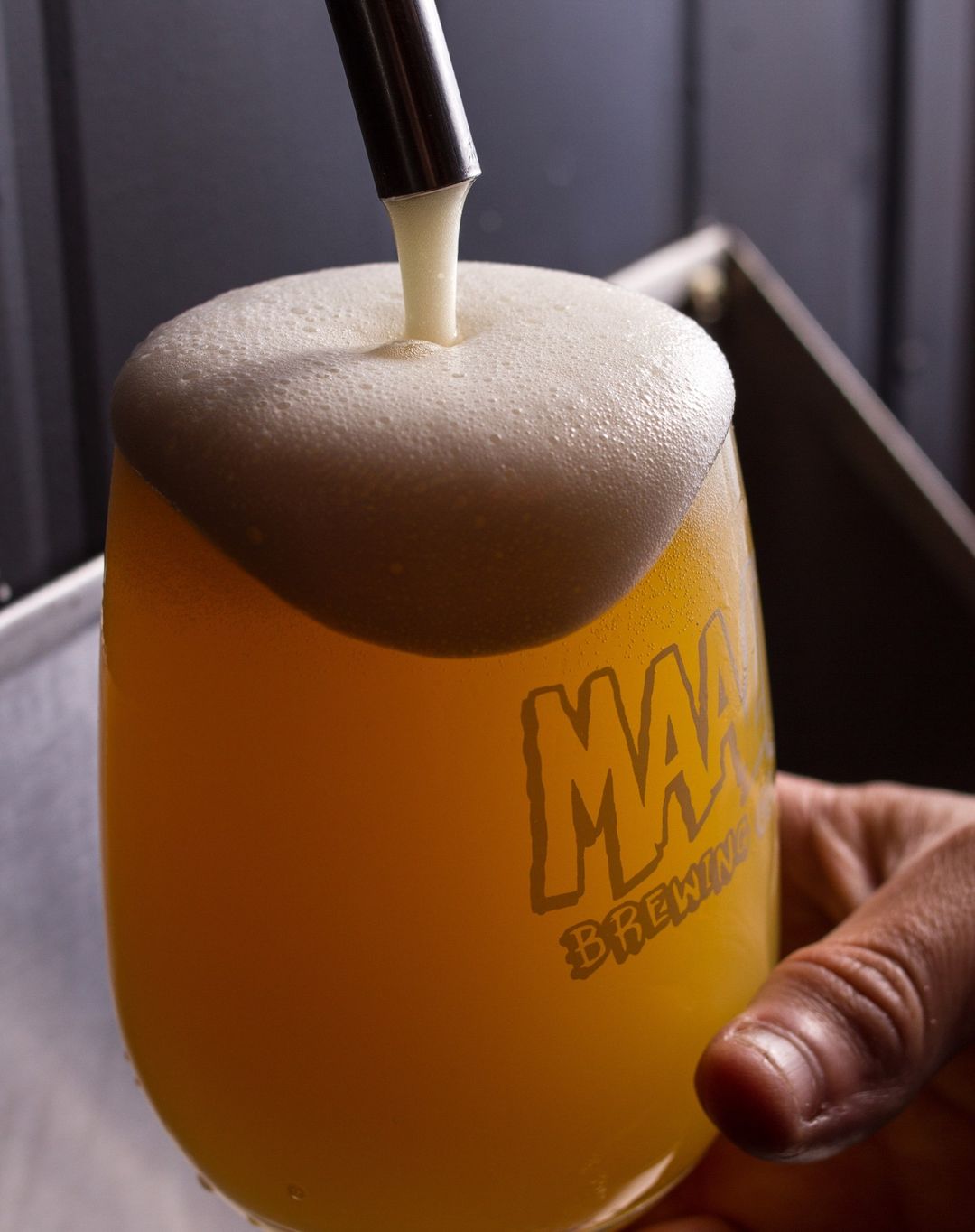 Foto Cervejaria Maali