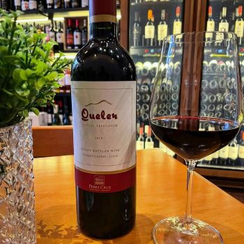 Foto Merlot Wines Experience