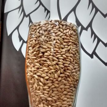 Foto More Hops Brew Shop