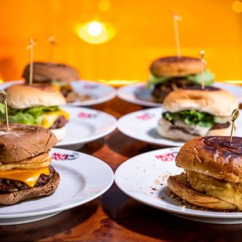 Foto New Dog Hamburger