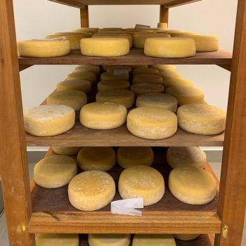 Foto Queijo Pátio da Pedra