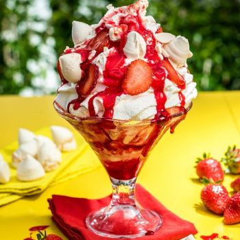 Foto Gelateria Primo Amore